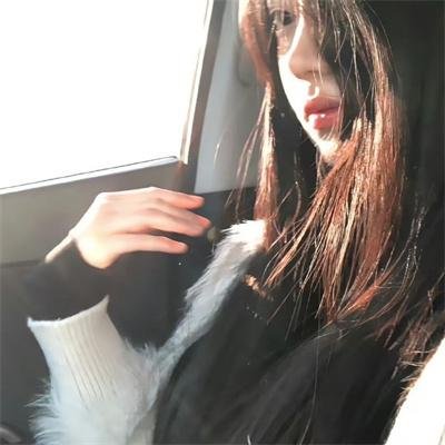 白鸥啊 不要飞起来